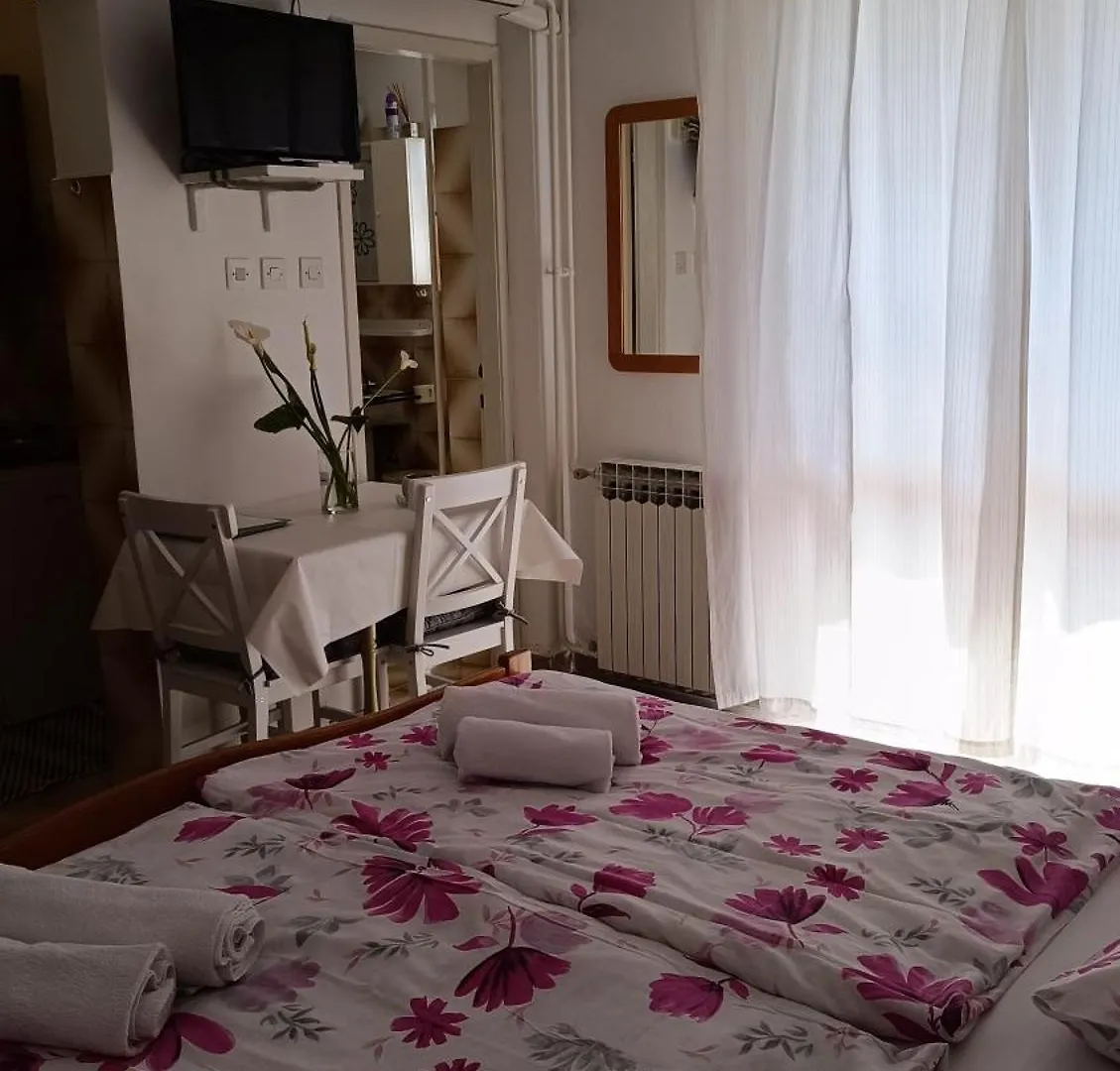 Apartments Gabriela 포레치